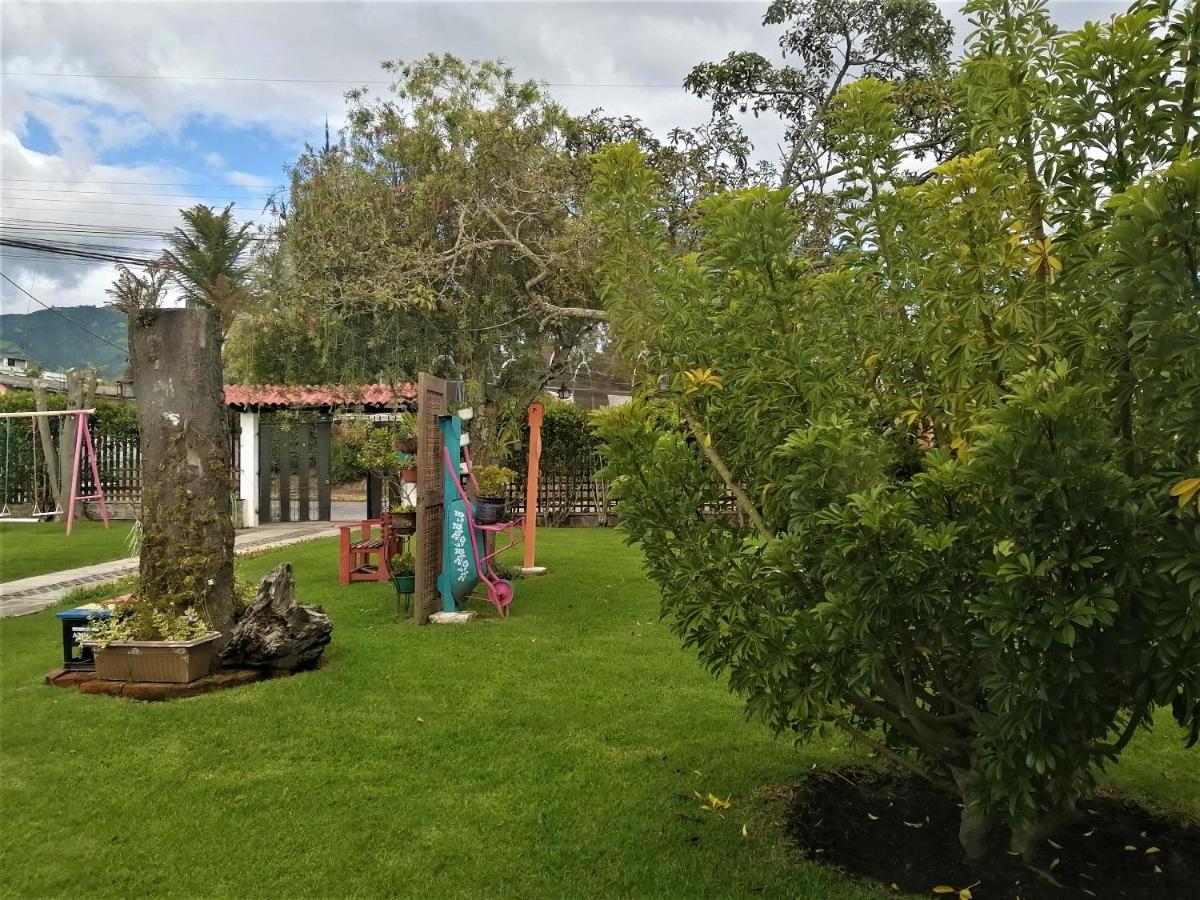Chester'S B&B Tababela Exterior foto